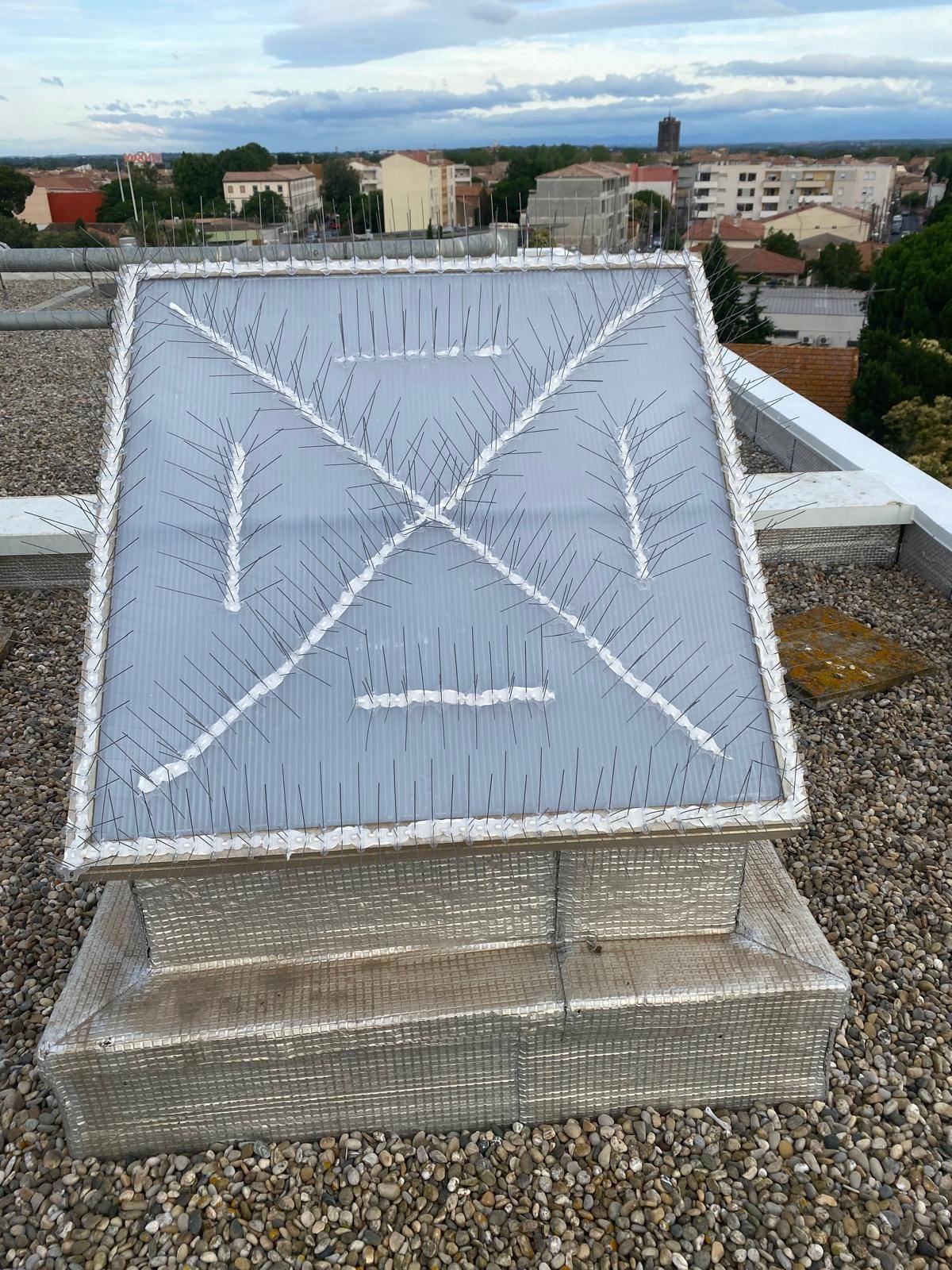 pic anti oiseaux toiture industrielle