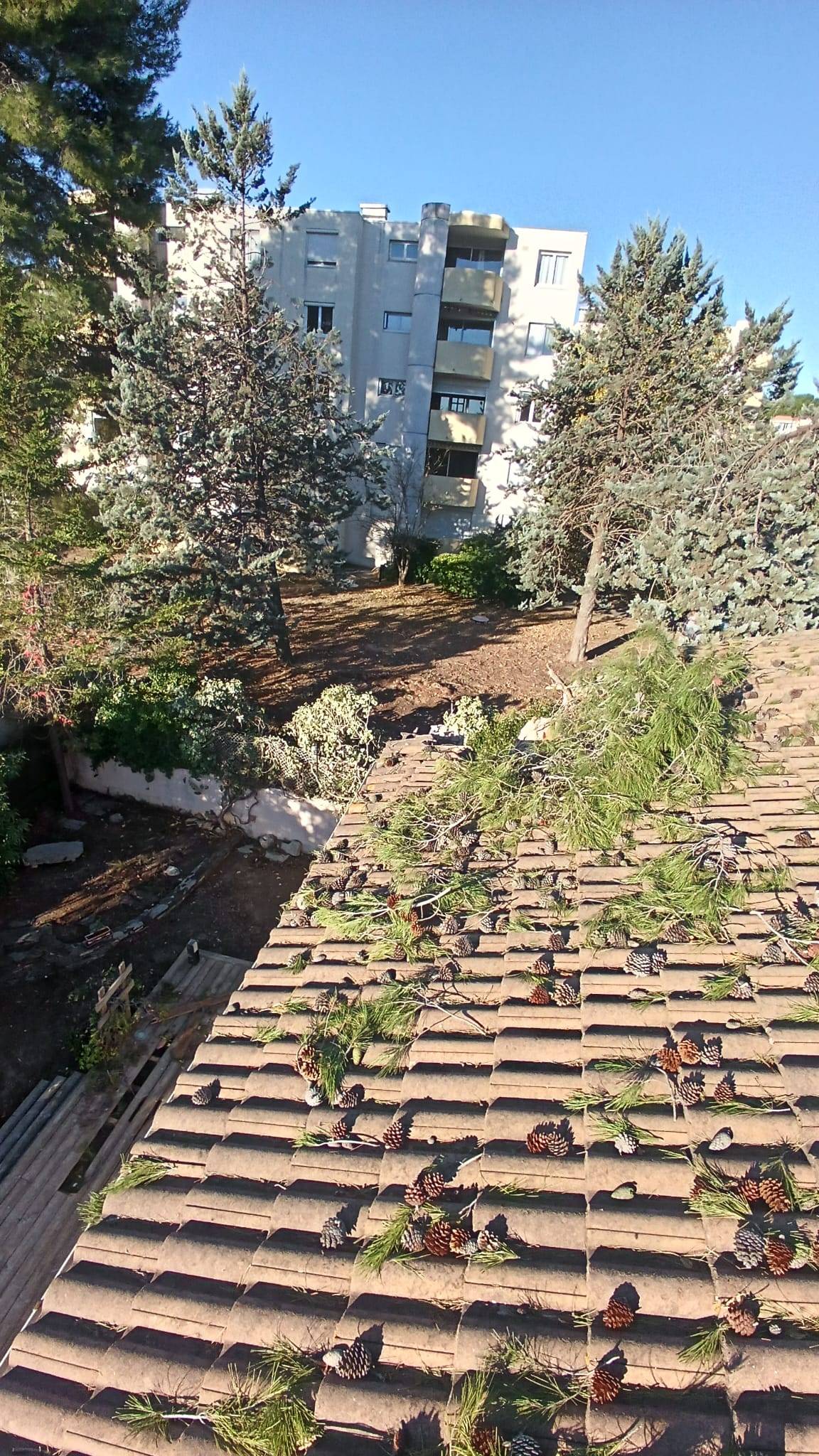 intervention urgence arbre toiture