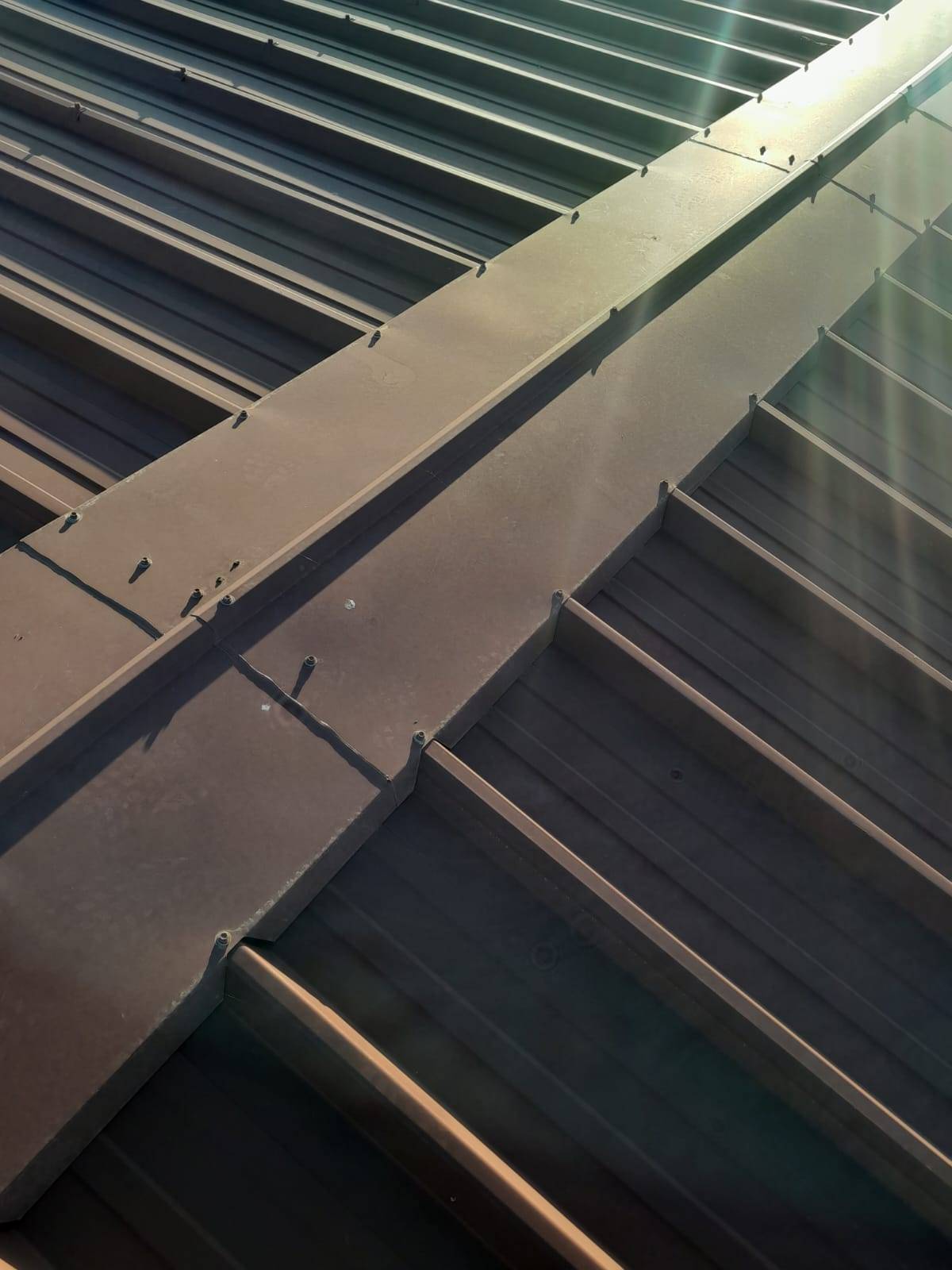 Entretien toitures industrielles