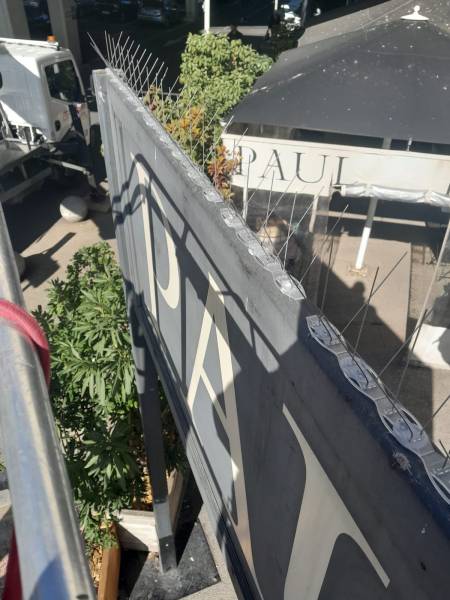 Pics anti-oiseaux centre commercial hérault