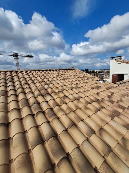 Rénovation toiture entreprise