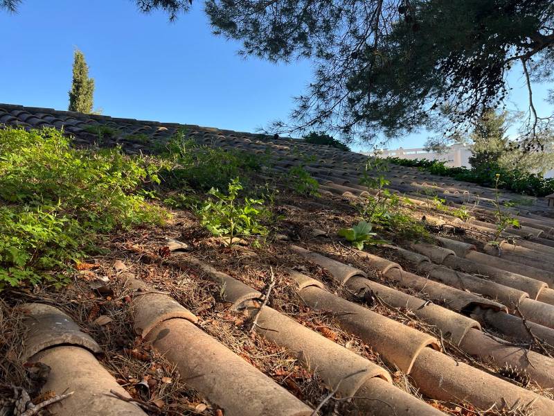 Pourquoi entretenir sa toiture ?