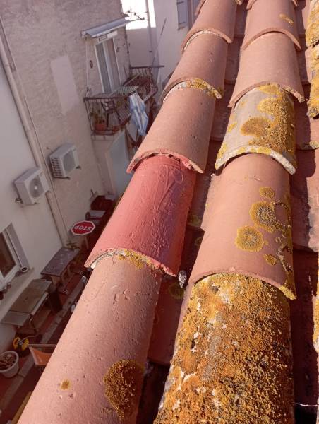 mesures conservatoires toiture hérault