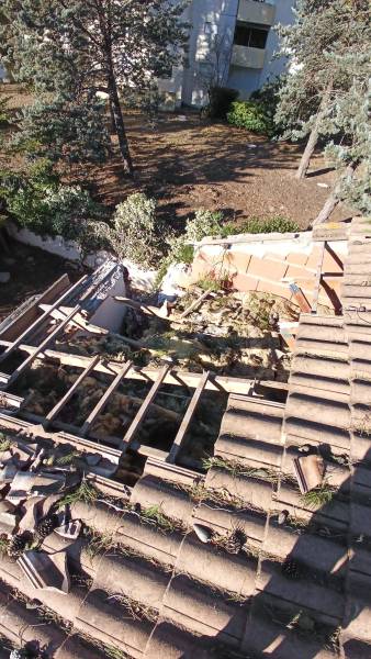 intervention urgence arbre toiture