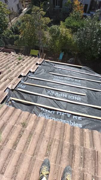 intervention urgence arbre toiture