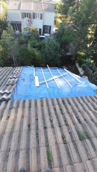 intervention urgence arbre toiture