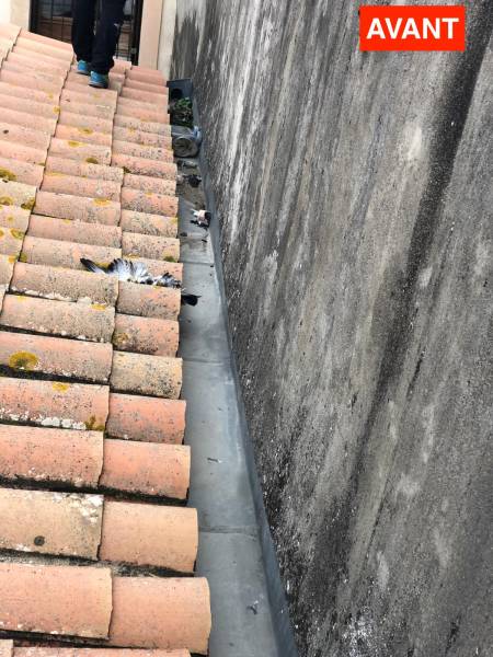 Entretien toiture traditionnelle Sète hérault 34 