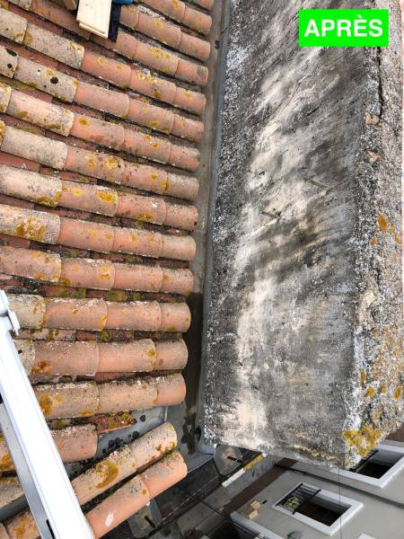 couvreur Montpellier pour nettoyage de toiture 