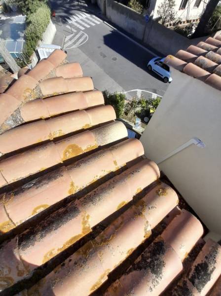 Réparer une tuile cassée sur un toit traditionnel à Montpellier dans l'Hérault