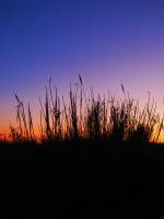 mont saint clair ssète