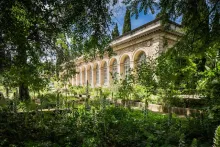 Jardin des Plantes Montpellier 